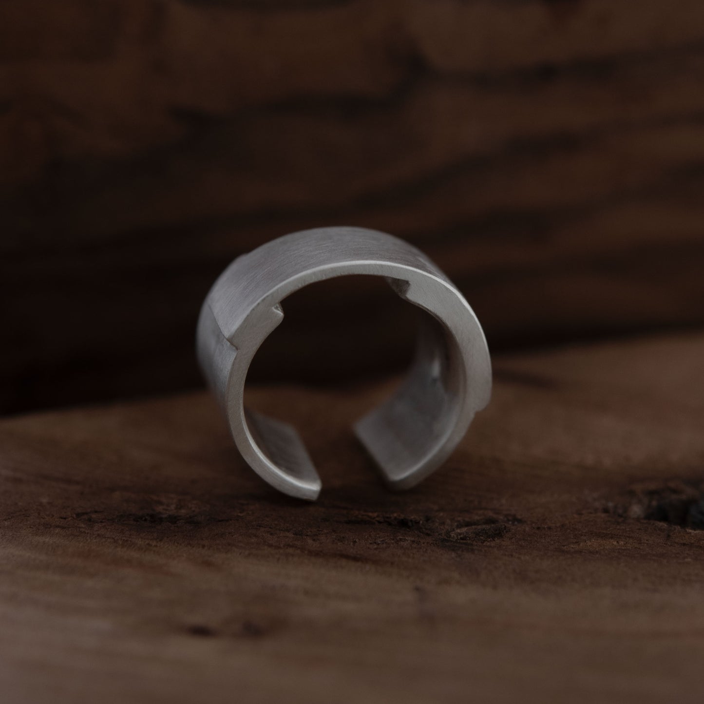 Bague d'oreille N°31
