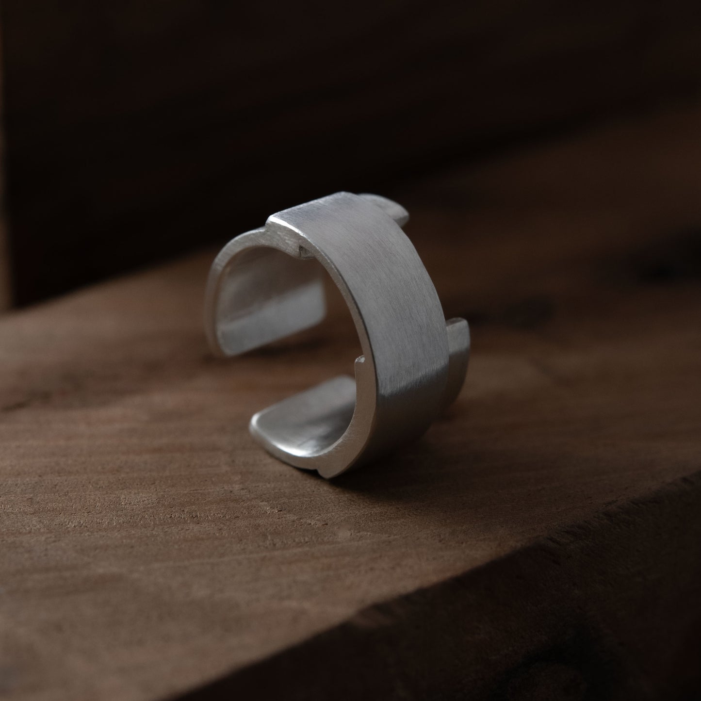 Bague d'oreille N°31