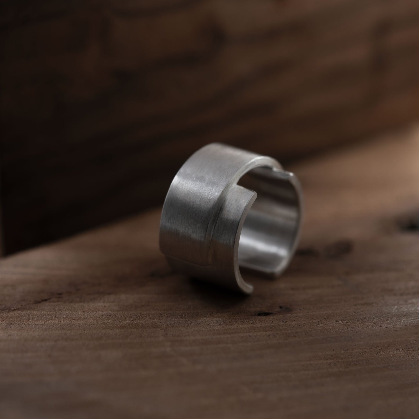 Bague d'oreille N°31