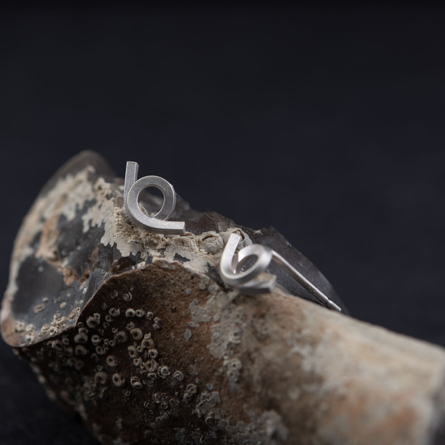 Puces d'oreilles torsadées N°9