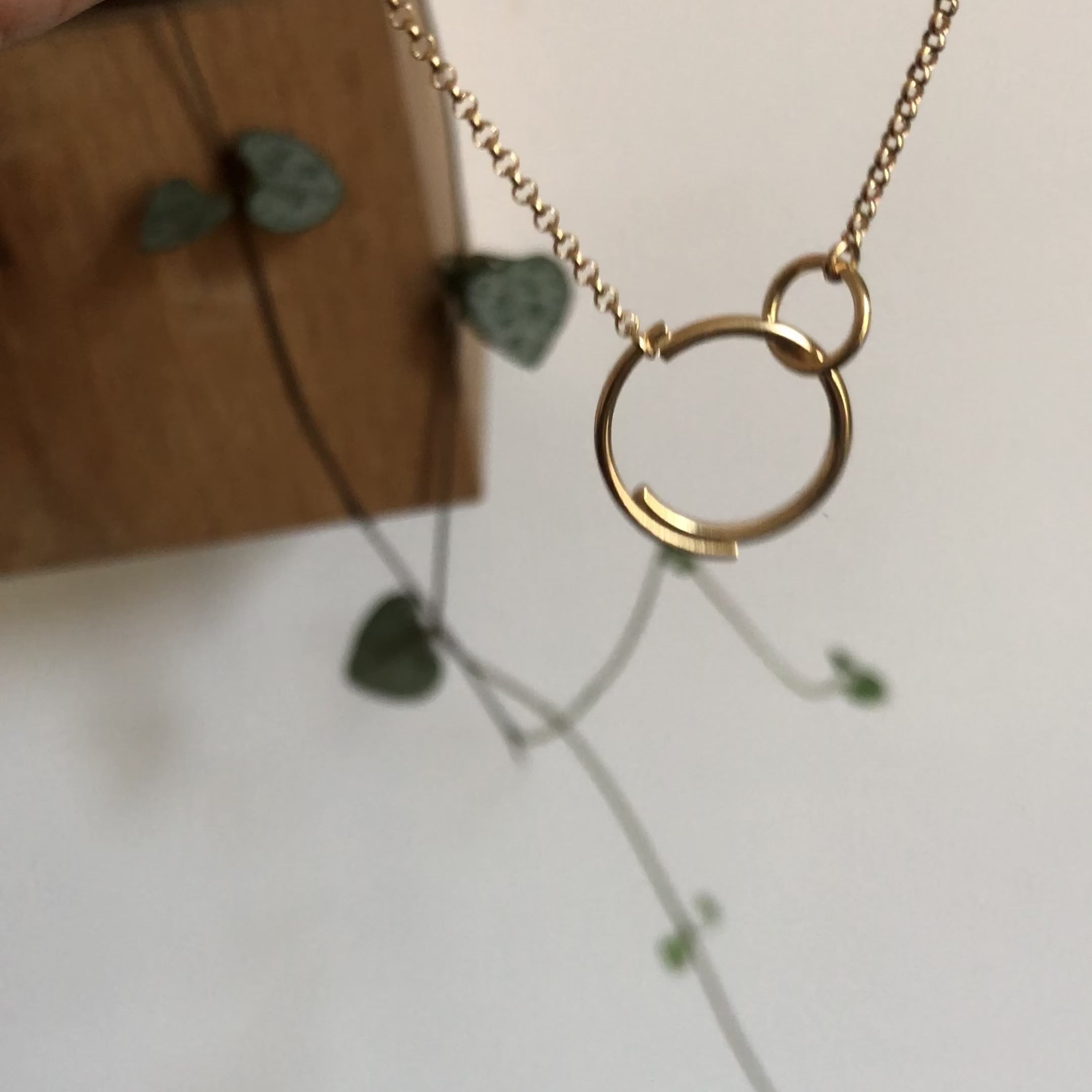 Round ring deals necklace