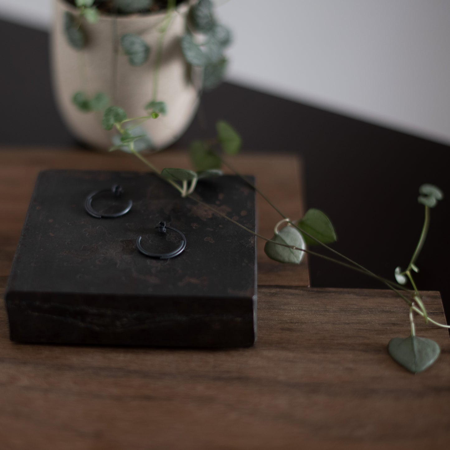 close up of a concentric circle small pair of hoops earrings in black oxidized silver 